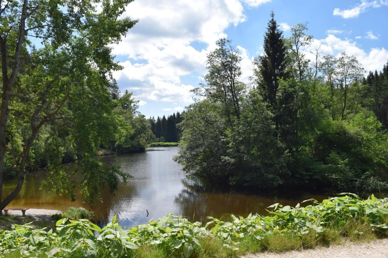 Hotel Carola Schoenheide Екстер'єр фото